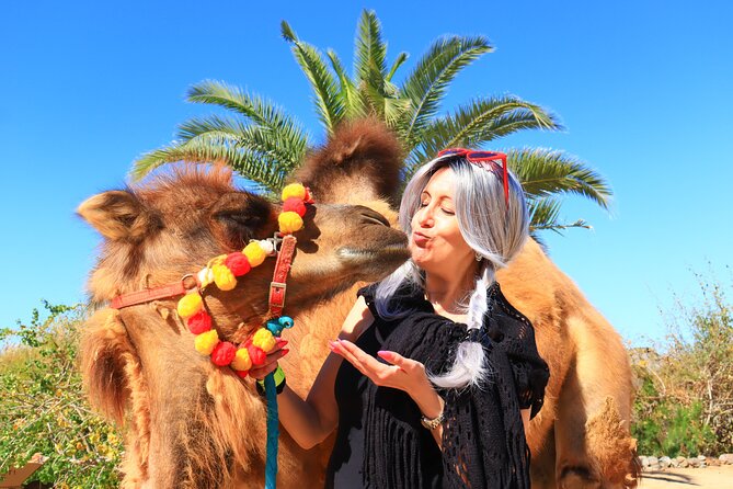 ATV Tour, Camel Ride, Tequila Tasting and Mexican Buffet Lunch - Smart tips for a smoother day in Cabo (and fewer surprises)