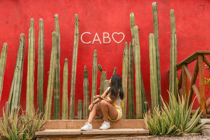 ATV Tour, Camel Ride, Tequila Tasting and Mexican Buffet Lunch - Should you book this Cabo ATV, camel, tequila, and buffet combo?