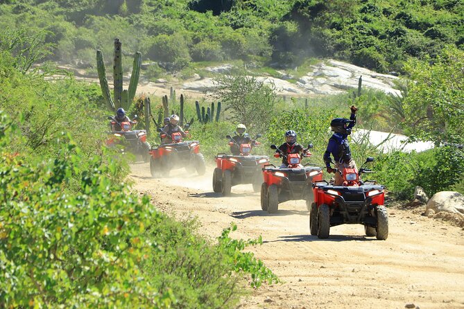 ATV Tour, Camel Ride, Tequila Tasting and Mexican Buffet Lunch - Camel beach ride: the best photos happen fast, and comfort varies