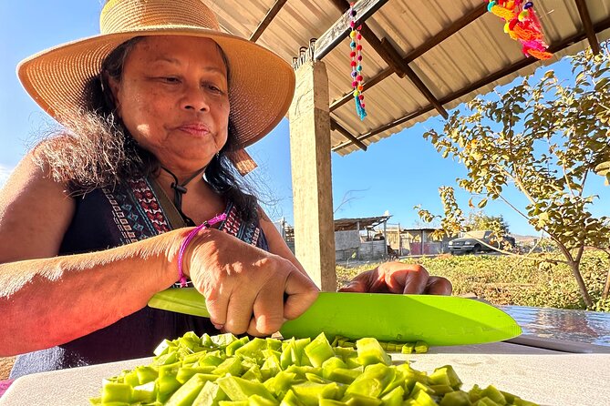 Azteca Tacos Cooking Class - Key Things You’ll Notice on This Cabo Nopal Tacos Class