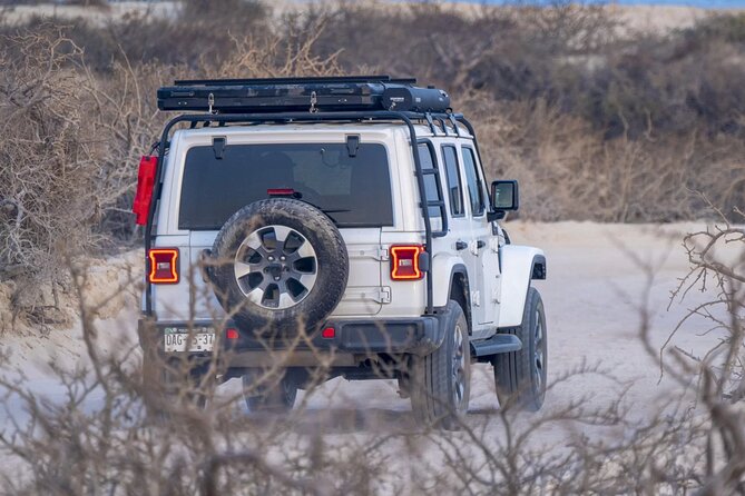 Baja Surf Expeditions - The Beach Setup: Surf First, Then Actually Relax