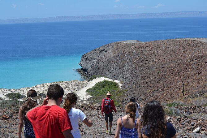 Balandra & Tecolote: hike, kayak and snorkel in paradise - Tecolote Beach lunch: fresh ceviche and a real payoff