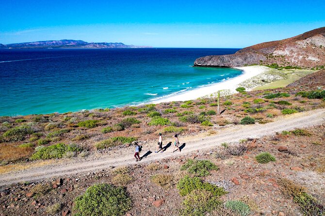 Balandra & Tecolote: hike, kayak and snorkel in paradise - Guides, small-group attention, and the wildlife factor