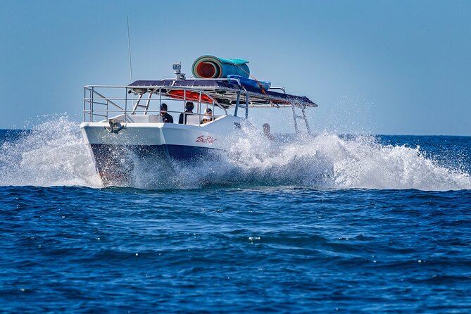 Bay Trip and the Arch of Cabo San Lucas - A One-Hour Sail Focused on Cabo Icons