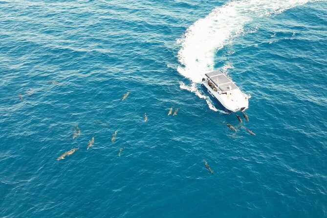 Bay Trip and the Arch of Cabo San Lucas - Stop 3: Neptune’s Finger and Pelican Rock Views