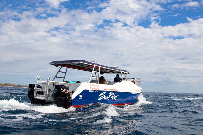 Bay Trip and the Arch of Cabo San Lucas - Price and Logistics: What You Really Pay