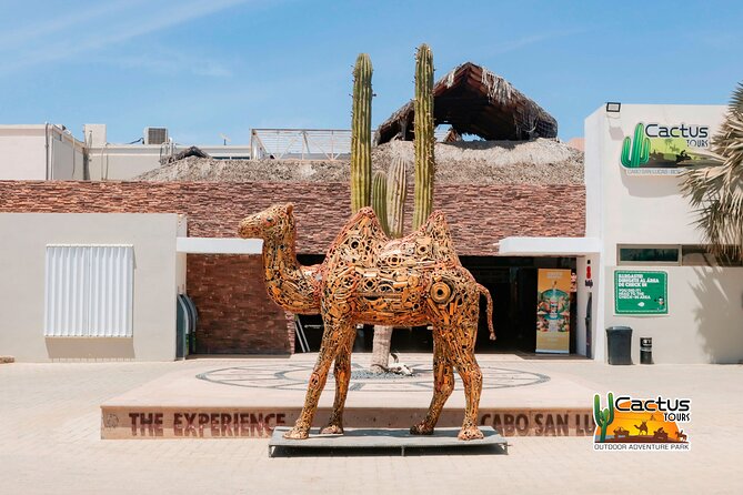 Beach and Desert Mini Razor Tour in Cabo - Guide quality: why names like Alvaro, Cesar, and Jonathan keep showing up