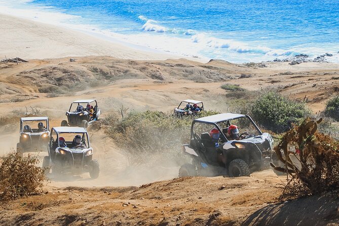Beach and Desert UTV Tour in Cabo - Who should book this Cabo beach-and-desert UTV tour