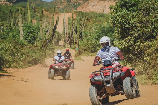 Beach ATV Adventure, Free Horseback Ride, and Sky Bike Experience - Price and Value: The $175 Rate Plus the $25 Park Fee