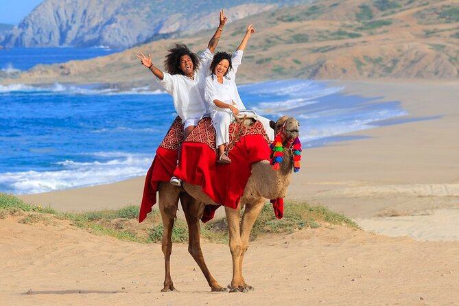 Beach Camel Ride and Encounter in Cabo - Getting to Cactus Tours: pickup from Cabo San Lucas and San Jose del Cabo