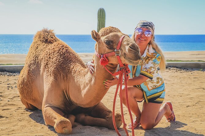 Beach Camel Ride and Encounter in Cabo - Tequila tasting: what to expect and how it can land