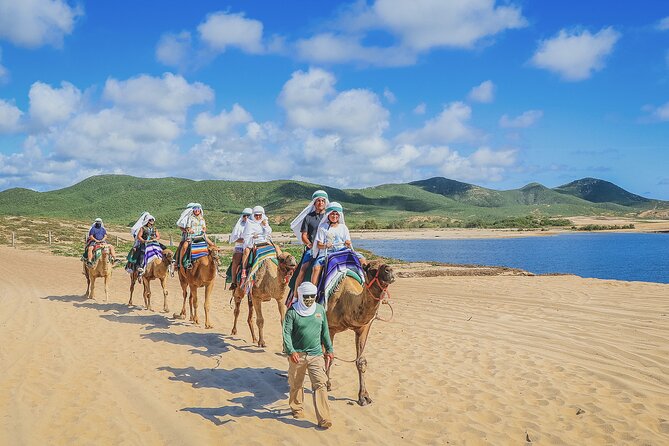 Beach Camel Ride and Encounter in Cabo - Park entrance fee: the $25 per person you should budget for
