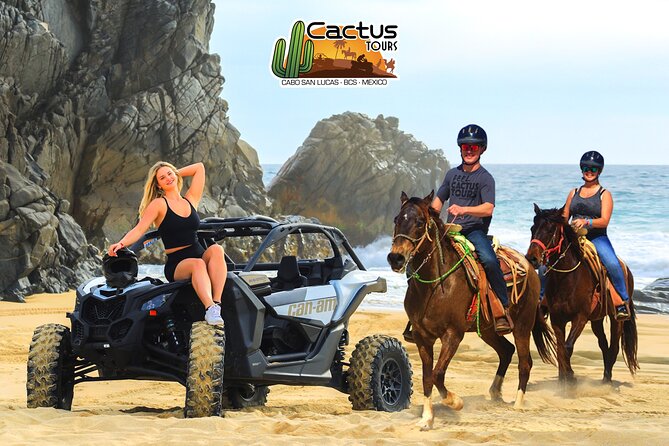 Beach Camel Ride and Sky Bike in Cabo - Sky Bikes Over the Baja, Ecological Hike, and the Whale-Sighting Bonus