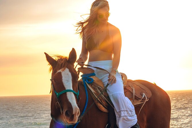 Beach Camel Ride and Sky Bike in Cabo - Price and Logistics, Where Costs Can Creep In