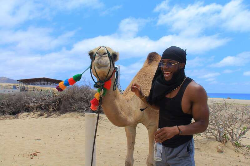Beach Camel Ride & Encounter in Cabo by Cactus tours park - Camels, Baja cacti, and Pacific sand