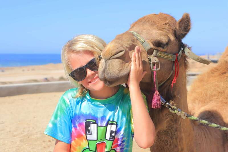 Beach Camel Ride & Encounter in Cabo by Cactus tours park - Kids club first: how the nanny service changes the experience