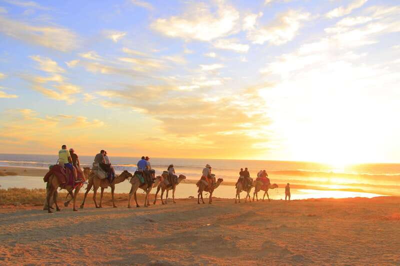 Beach Camel Ride & Encounter in Cabo by Cactus tours park - Meeting Choyerito and learning the Baja environment