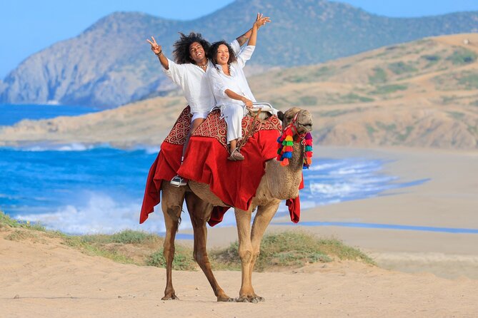 Beach CAN-AM SXS X3 and Camel Ride in Cabo - Camel Encounter and Beach Riding: Slow Down, Get Up Close, and Enjoy the Pacific