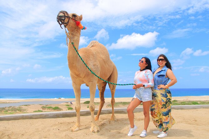 Beach CAN-AM SXS X3 and Camel Ride in Cabo - Price and Value Math on a $175 Ticket