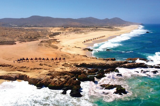 Beach CAN-AM SXS X3 and Camel Ride in Cabo - Age Rules and Who This Tour Fits Best