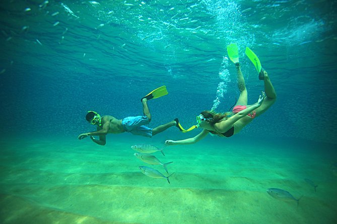Beach Hopper Small-Group Snorkeling Tour in Los Cabos - Why Chileno and Santa Maria Feel Like Cabo’s Best Snorkel Setup