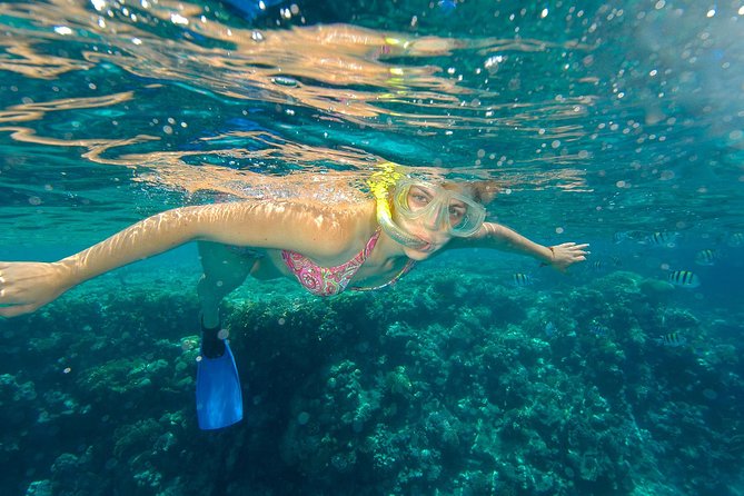 Beach Hopper Small-Group Snorkeling Tour in Los Cabos - The Fast Zodiac Ride, El Arco Views, and Land’s End After Snorkeling
