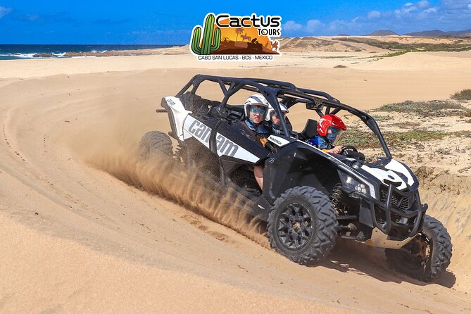 Beach UTV Adventure with Free Camel and Horseback Ride - Entering Cactus Tours: Pickup, safety gear, and a quick warm-up