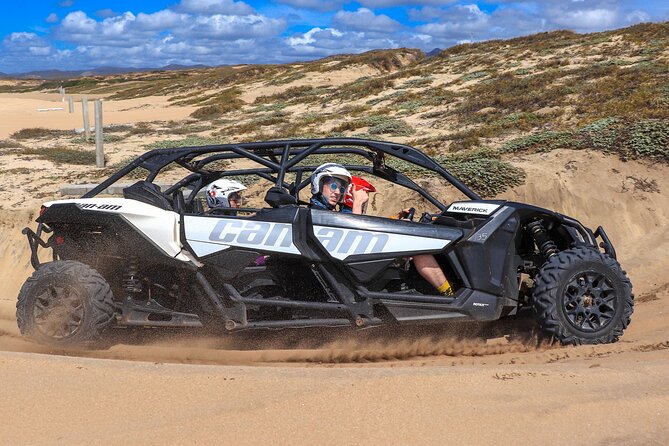 Beach UTV Adventure with Free Camel and Horseback Ride - Camel Encounter on the Beach: What to expect with ocean views
