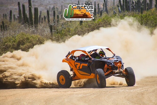 Beach UTV and Camel Ride Combo in Cabo - Tequila Tasting, Quesadillas, and the End-of-Day Wind Down