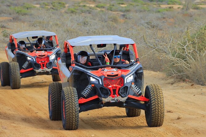 Beach UTV and Camel Ride Combo in Cabo - Price and Add-Ons: The $25 Park Fee and Optional Upgrades