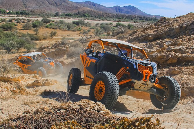 Beach UTV and Camel Ride Combo in Cabo - Polaris RZR UTV Riding Across 7,000 Acres of Baja