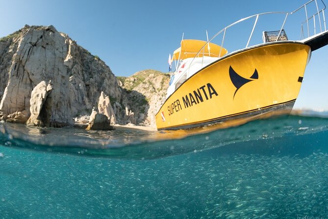 Beginner Scuba Diving in Cabo San Lucas - Manta site: what you can reasonably expect on the first underwater swim