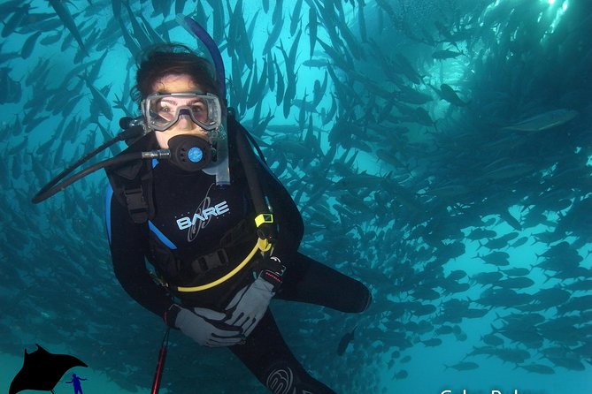 Beginner Scuba Diving in Cabo San Lucas - Price and value: what $142 includes and what can add up