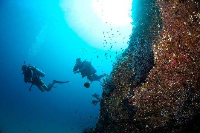 Beginner Scuba Diving in Cabo San Lucas - Gear fitting, communication, and why the first minutes decide everything