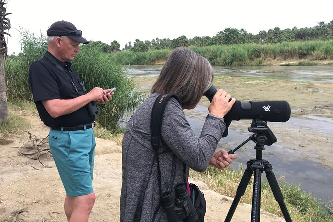 Birding San Jose Estuary Los Cabos Mexico - Key Things You Should Know Before You Go