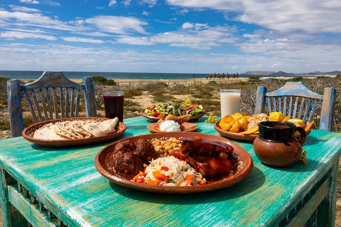 Boat Ride to the Arch and Beach Camel Ride in Cabo San Lucas - Who this tour is best for (and who should skip it)