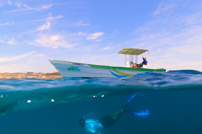 Boat ride to the Arch and Snorkel - Cruising the Sea of Cortez for About 30 Minutes
