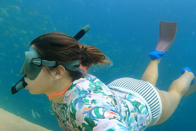 Boat ride to the Arch and Snorkel - The Snorkel Session at the Coral Reef: Fish You Can Actually See