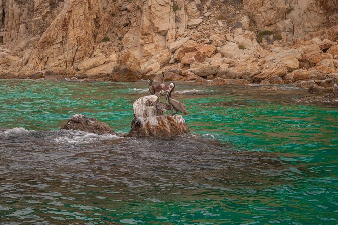 Boat Tour Snorkeling Tour with Guide, Drinks and Fruit - Drinks, Fruit, and the Beer Included on Board