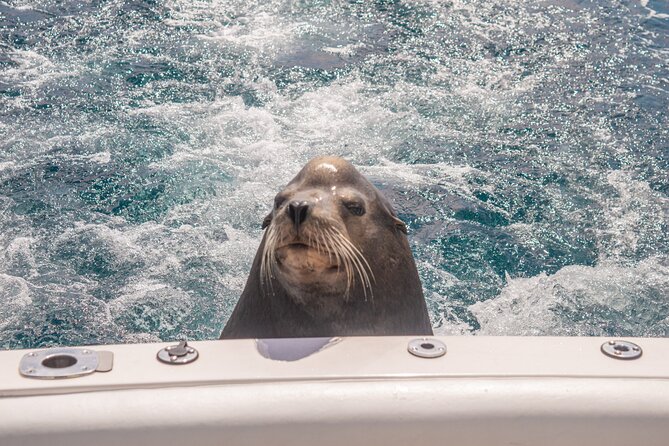 Boat Tour Snorkeling Tour with Guide, Drinks and Fruit - Group Size and Guide Style: What Makes It Feel Easy (or Not)