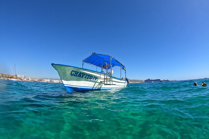 Boat Tour to Cabo San Lucas Arch and Rock Formations - The value behind $16.71, plus the one add-on to budget