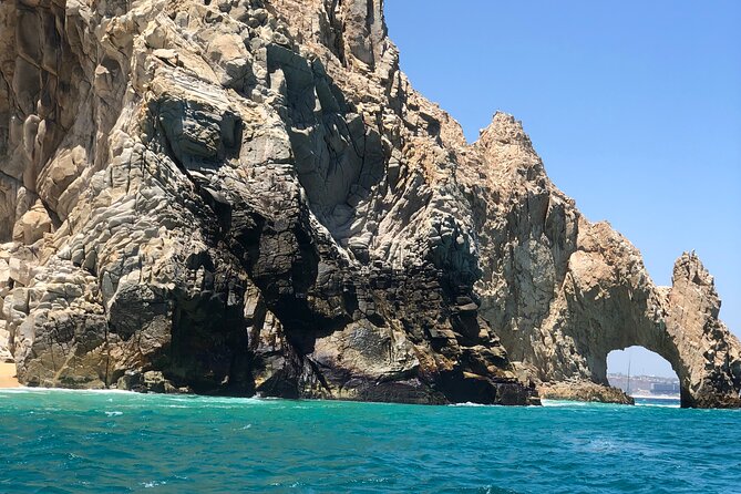 Boat Tour to Cabo San Lucas Arch and Rock Formations - Pelican Rock: sea life spotting with a built-in fish-view setup