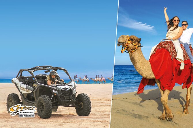 Cabo Adventure: Can-Am X3 Ride & Camel Beach Tour - Key highlights you should know before you go