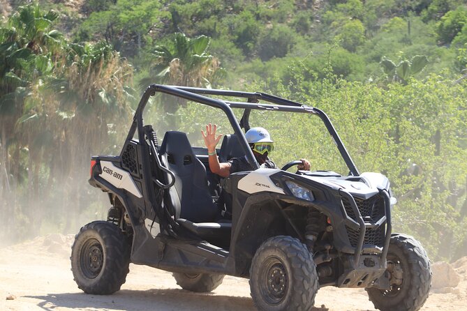 Cabo Adventure: Can-Am X3 Ride & Camel Beach Tour - Camel encounter and beach riding along the Pacific