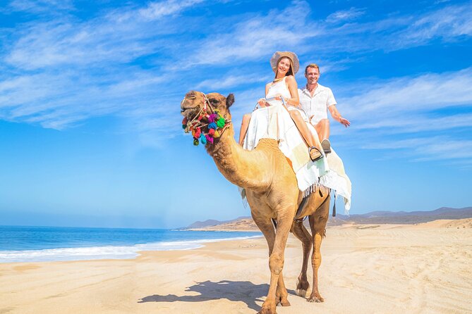 Cabo Adventure: Can-Am X3 Ride & Camel Beach Tour - Park entry fee and add-ons: what to budget beyond $175