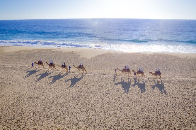 Cabo Beach Camel Ride, Mexican Buffet and Tequila Tasting - Key points before you go