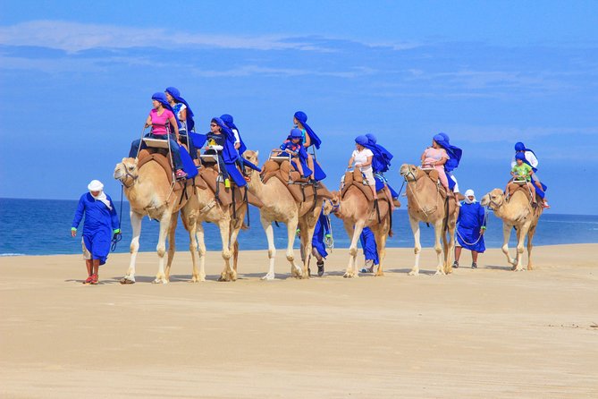 Cabo Beach Camel Ride, Mexican Buffet and Tequila Tasting - Pacific Coast Ride: How the Day Starts
