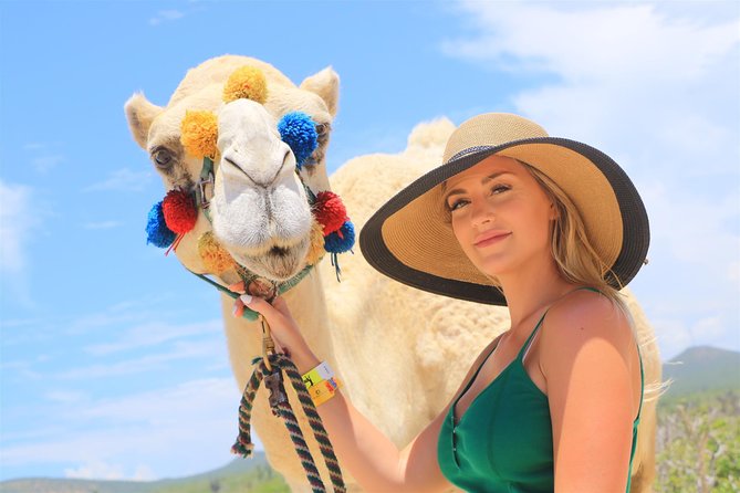 Cabo Beach Camel Ride, Mexican Buffet and Tequila Tasting - Lunch at the Sea of Cortes: Unlimited Buffet, Real-Time Views