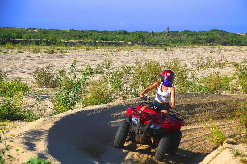 Cabo: Beach & Desert Single ATV Tour with Tequila Tasting - Tequila tasting: the calm finale after the ride