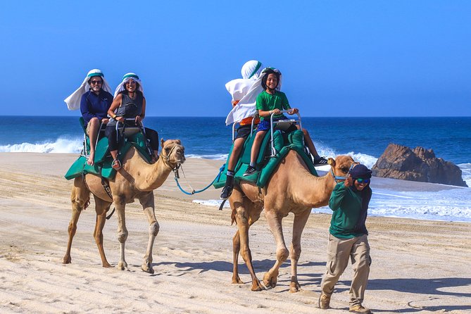 Cabo Camel Ride Experience - Key Things I’d Plan Around